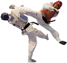 Taekwondo
